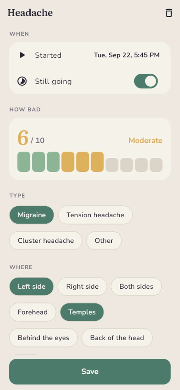 Entry with intensity, type and pain location
